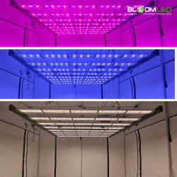 BloomLED - SpectraWILD L900 PRO - Système horticoles LEDs Full Spectrum - 900W - 150x150 - Samsung