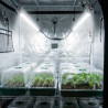 Tube LED Grow 60/120cm - Éclairage Semis-Boutures - Version 2 Optimisée - SOLUX