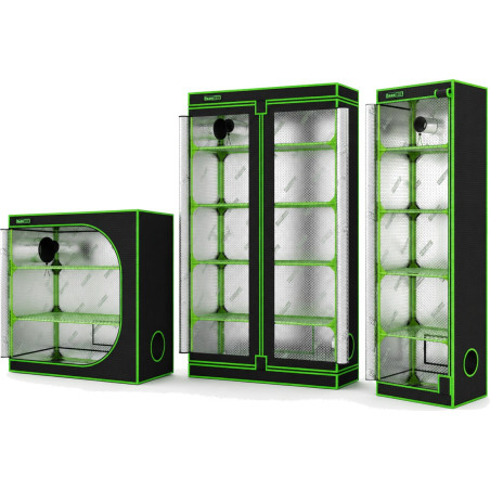Comment réussir germination et bouturage en intérieur ?