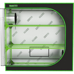 Comment réussir germination et bouturage en intérieur ?