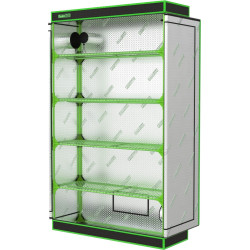 Comment réussir germination et bouturage en intérieur ?