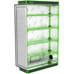Comment réussir germination et bouturage en intérieur ?