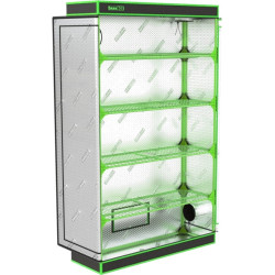 Comment réussir germination et bouturage en intérieur ?