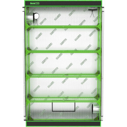 Comment réussir germination et bouturage en intérieur ?