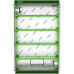 Comment réussir germination et bouturage en intérieur ?