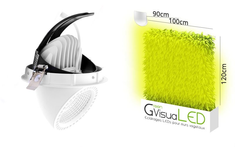 Taille éclairage horticole led pour murs végétaux